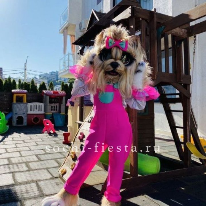 Аниматор Гламурная Собака в Ижевске