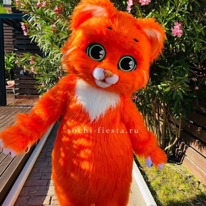 Аниматор Котик в Ижевске