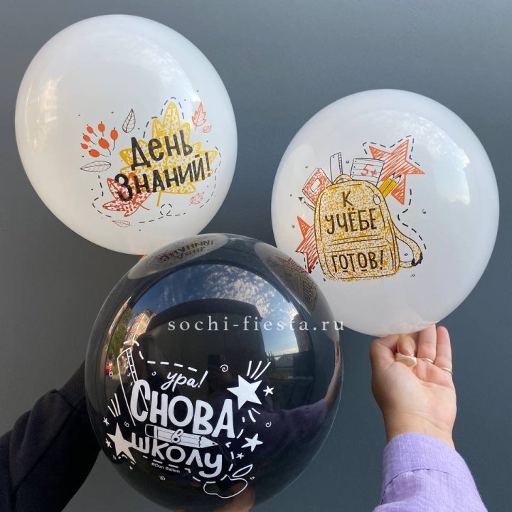 Воздушный шар к 1 сентября в Ижевске