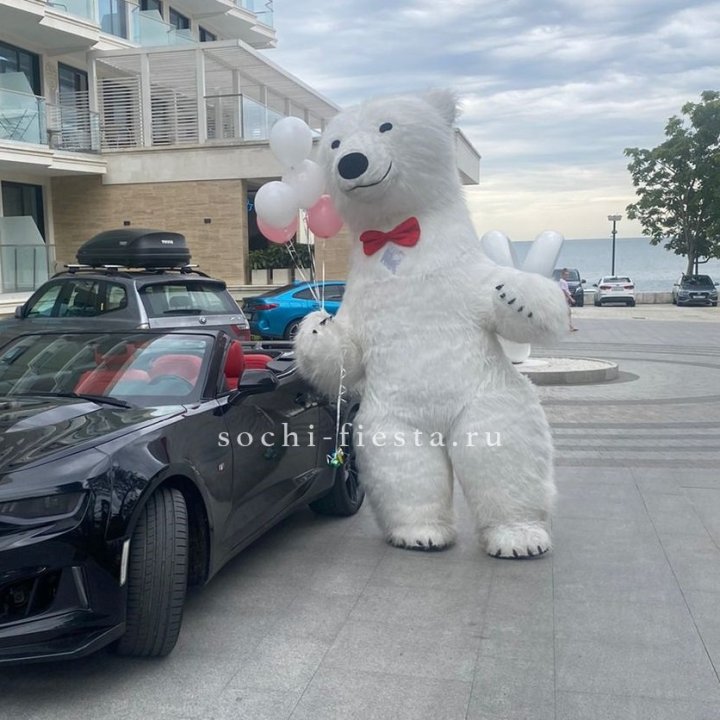 Аниматор Белый Медведь в Ижевске