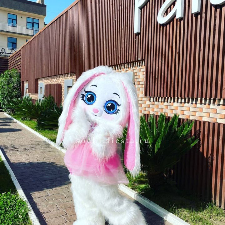 Аниматор Зайка в Ижевске