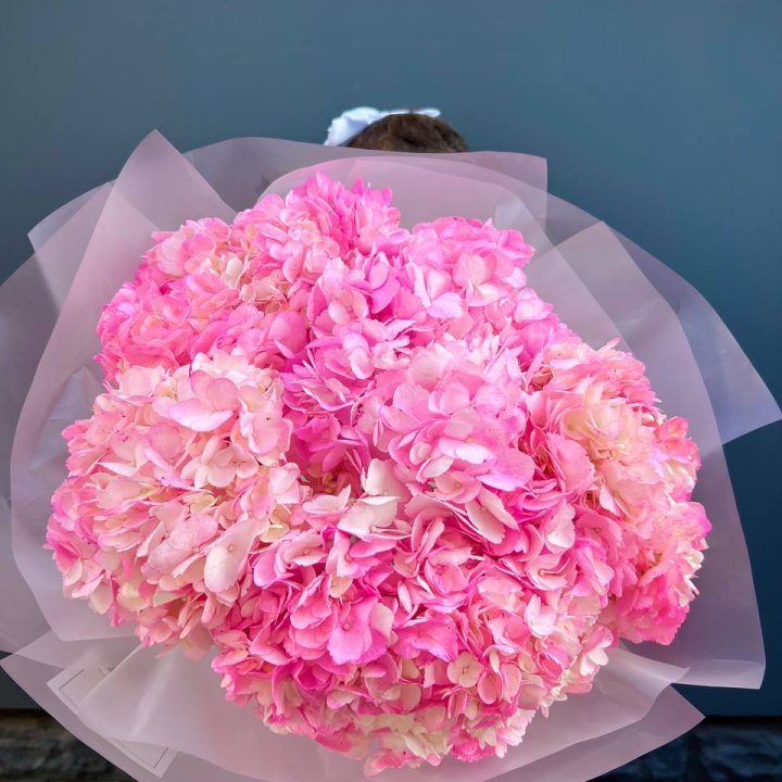 9 ярко розовых гортензий в Ижевске