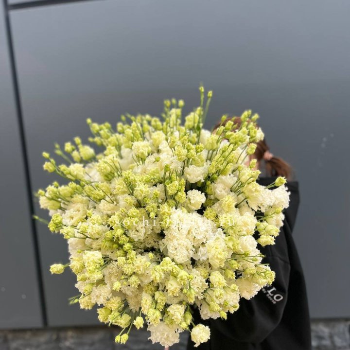 51 белая эустома в Ижевске