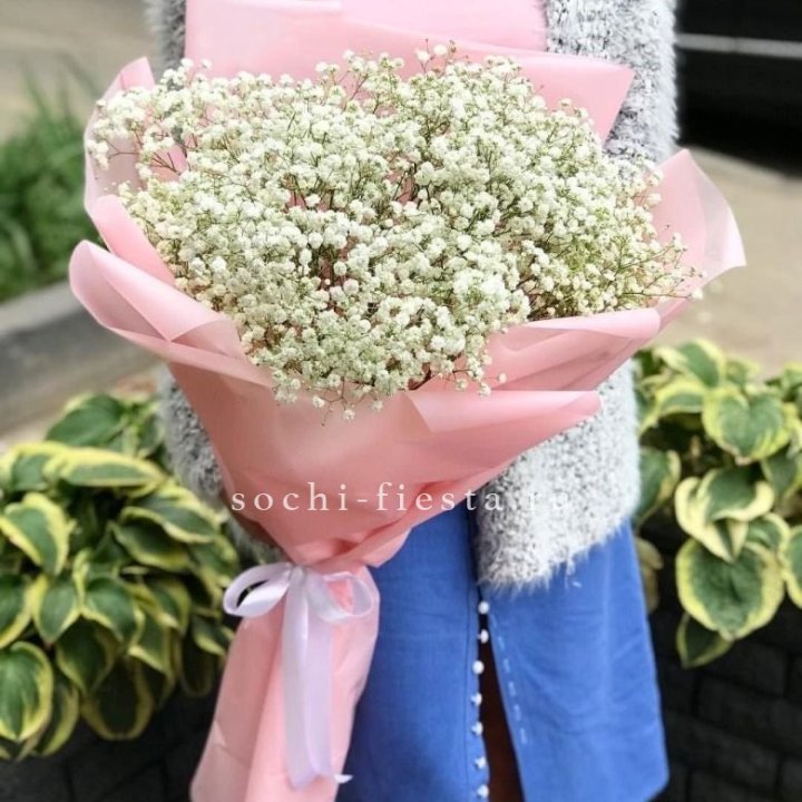 Белоснежные гипсофилы в Ижевске