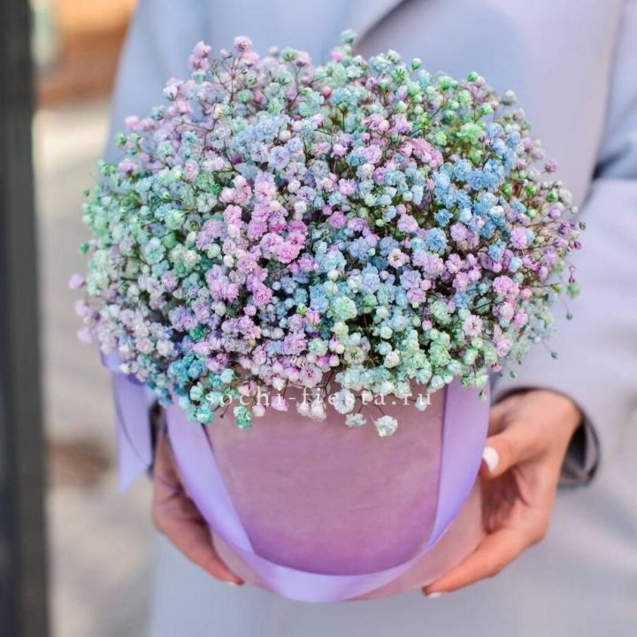 Гипсофилы в шляпной коробке "Кандилайт" в Ижевске