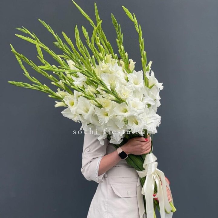 19 белых гладиолусов под ленту в Ижевске