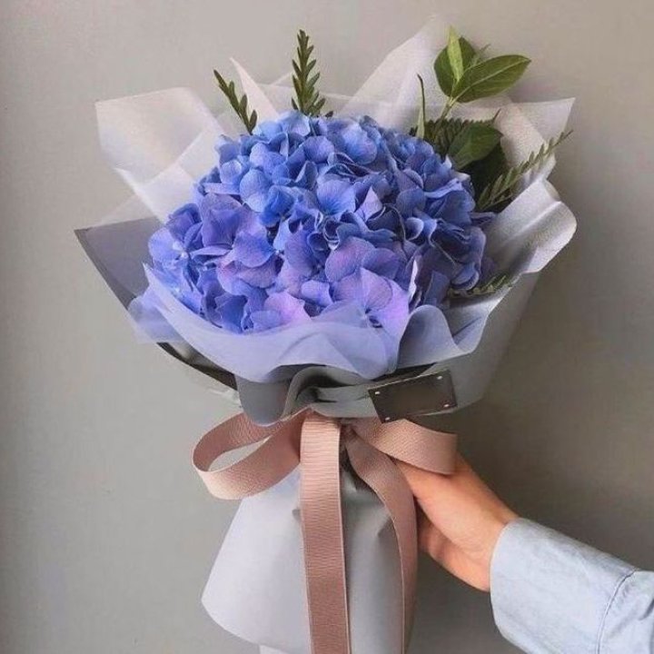 Гортензия голубая в Ижевске