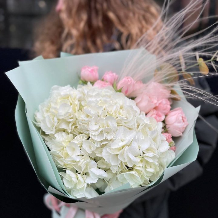 Гортензия "Жасмин" в Ижевске