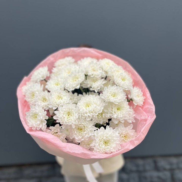  5 хризантем  в Ижевске