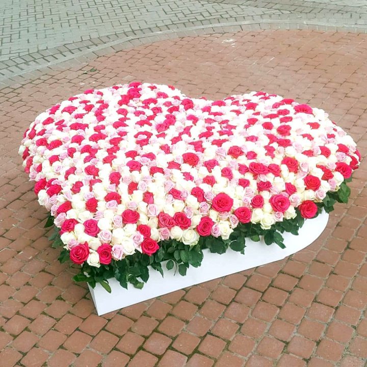 555 роза  в Ижевске