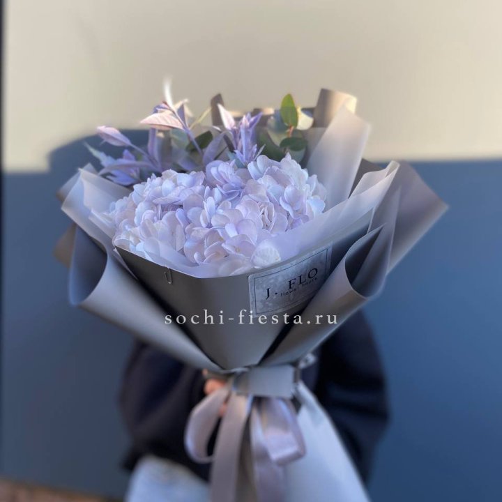 Гортензия "Виолета" в Ижевске