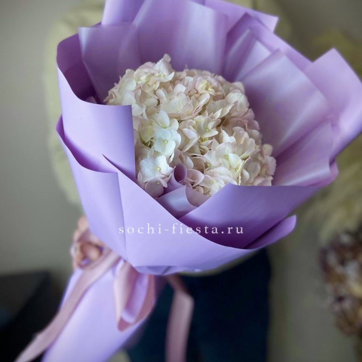 Гортензия розовая в Ижевске