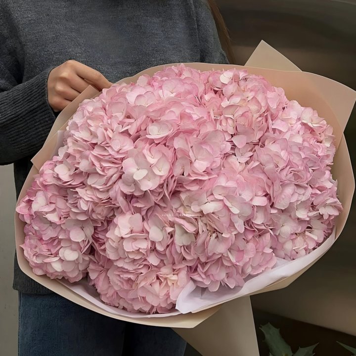 Гортензия  "РОЗЕ" в Ижевске