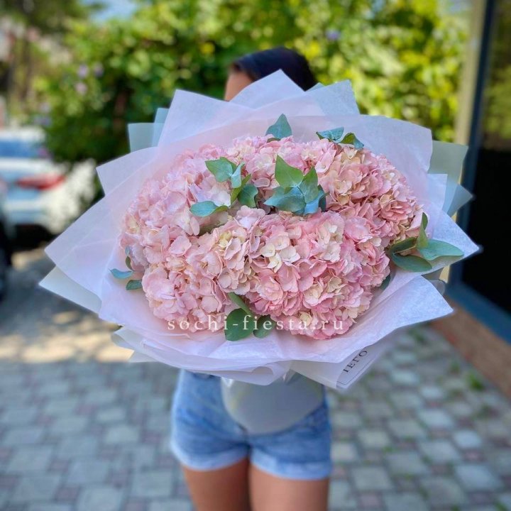 5 розовых гортензий  в Ижевске