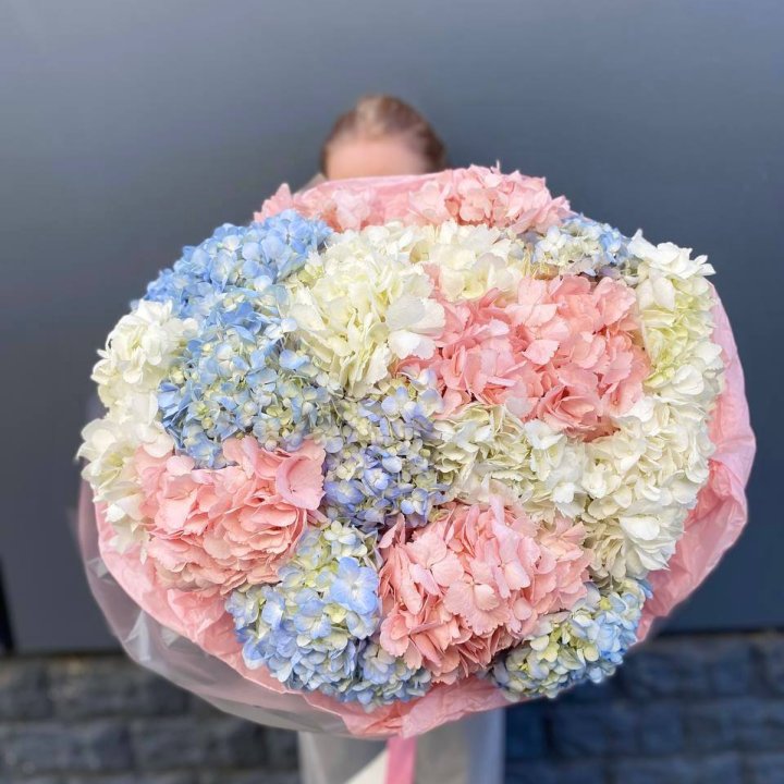 19 гортензий микс в Ижевске