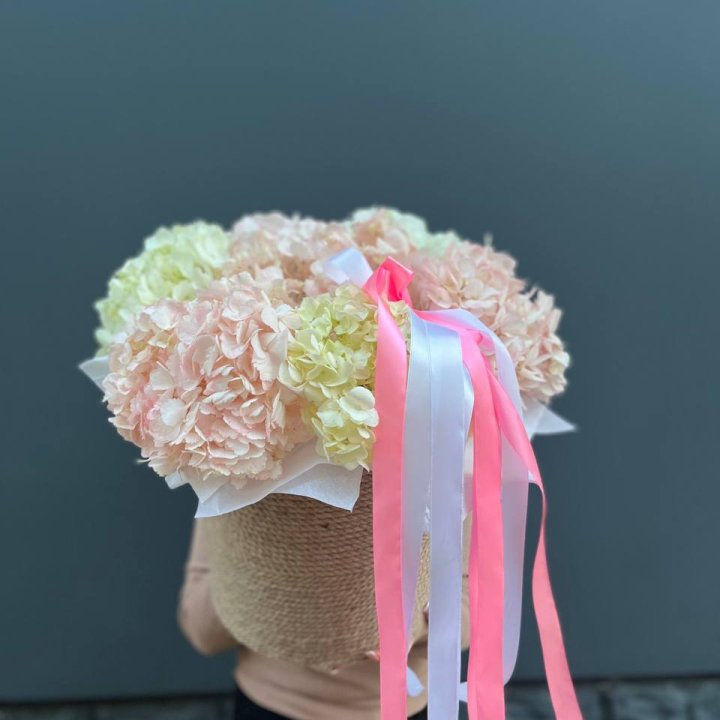 7 гортензий в кашпо в Ижевске