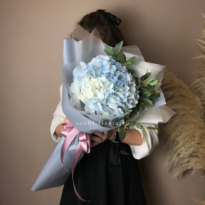 Гортензия Уно в Ижевске