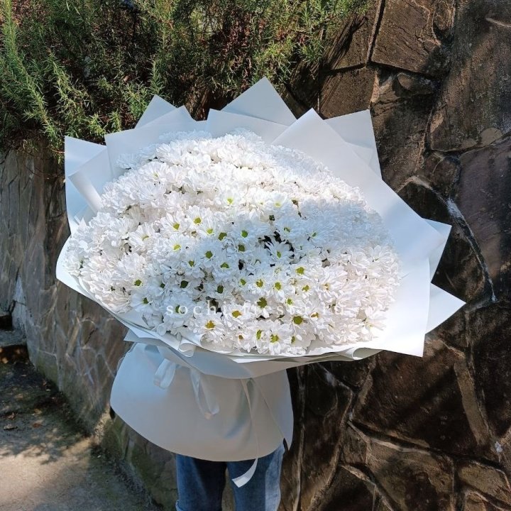 Облако хризантем №2 в Ижевске