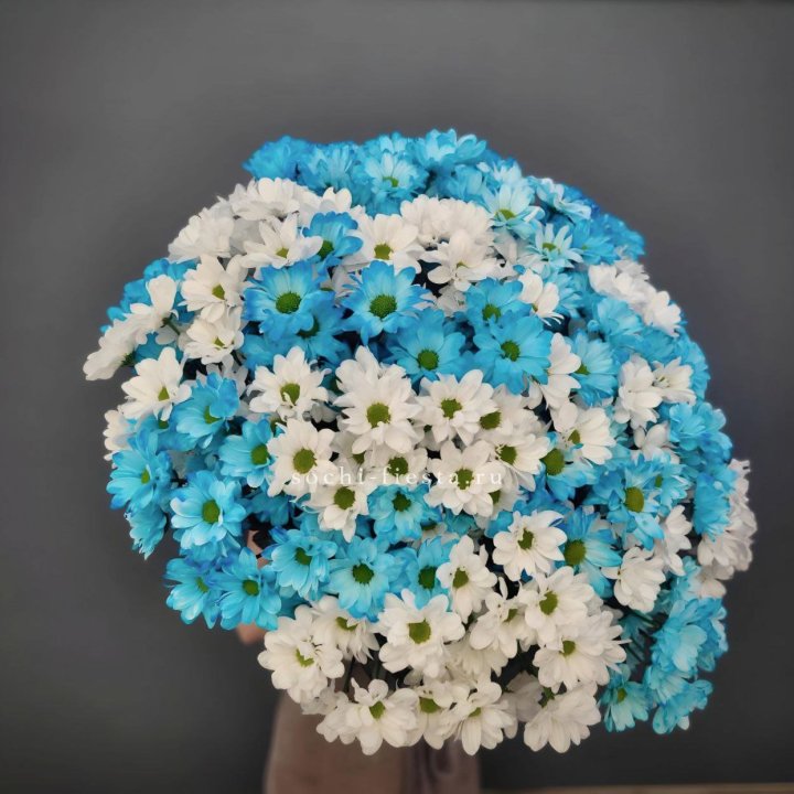  Букет хризантем микс в Ижевске