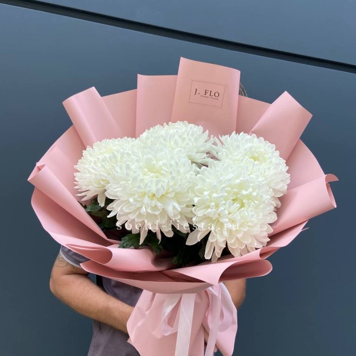 Профитроли №2 в Ижевске