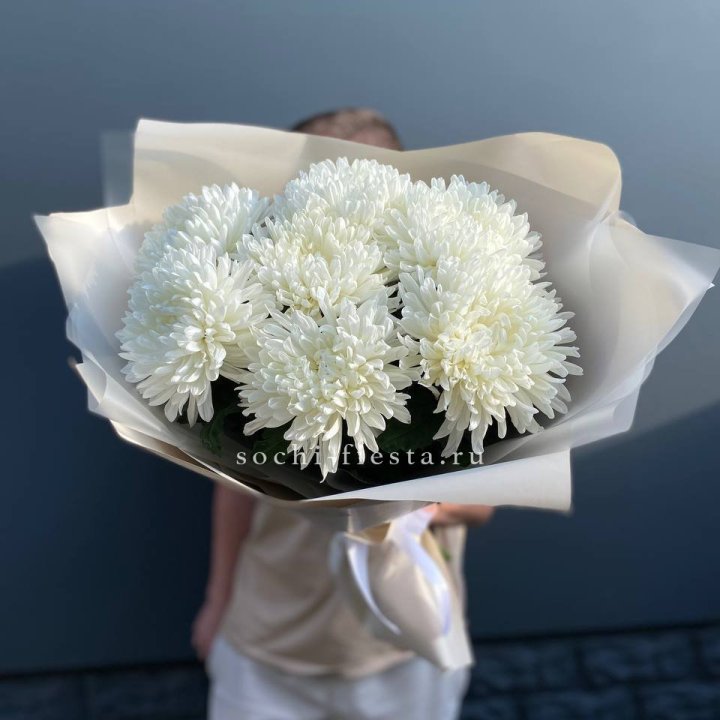 Профитроли в Ижевске