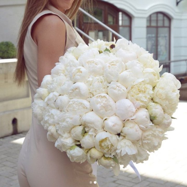 51 белый пион в Ижевске