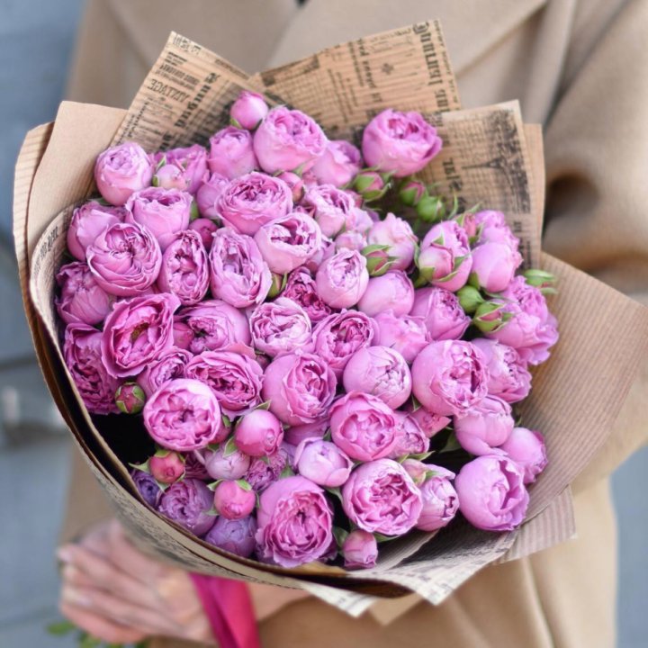 Роза Мисти Баблс в Ижевске