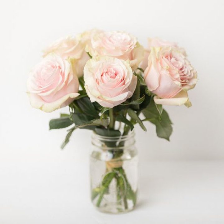 7 кремовых роз в Ижевске