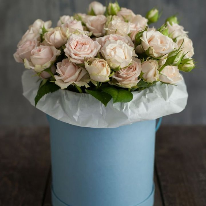 Бокс с бомбастиком в Ижевске