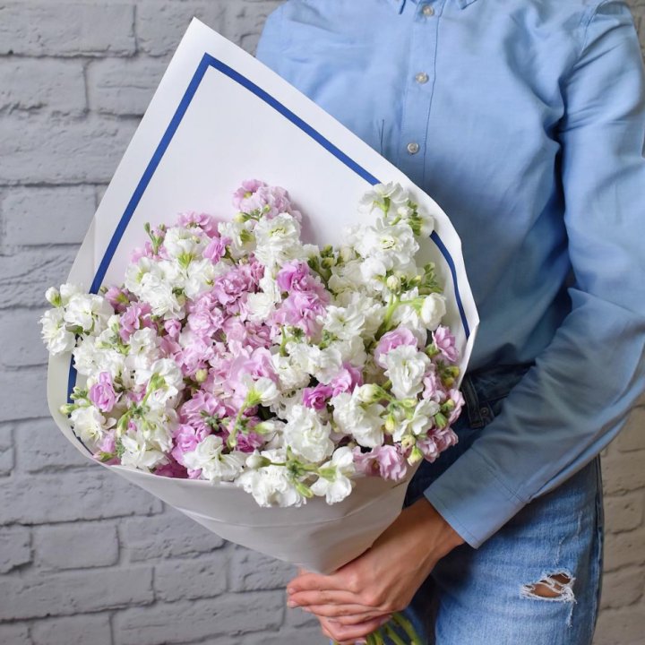 Маттиола в Ижевске