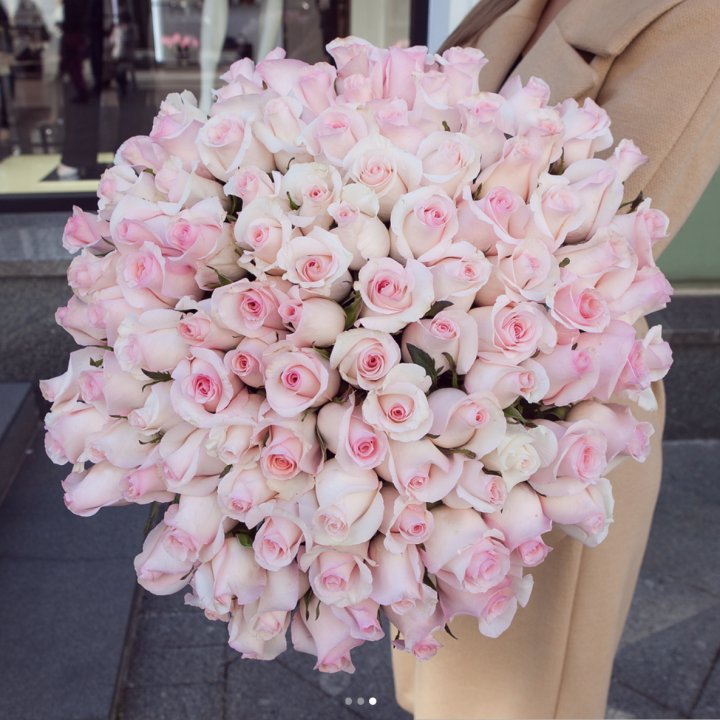 Розы "Пинк бум" в Ижевске