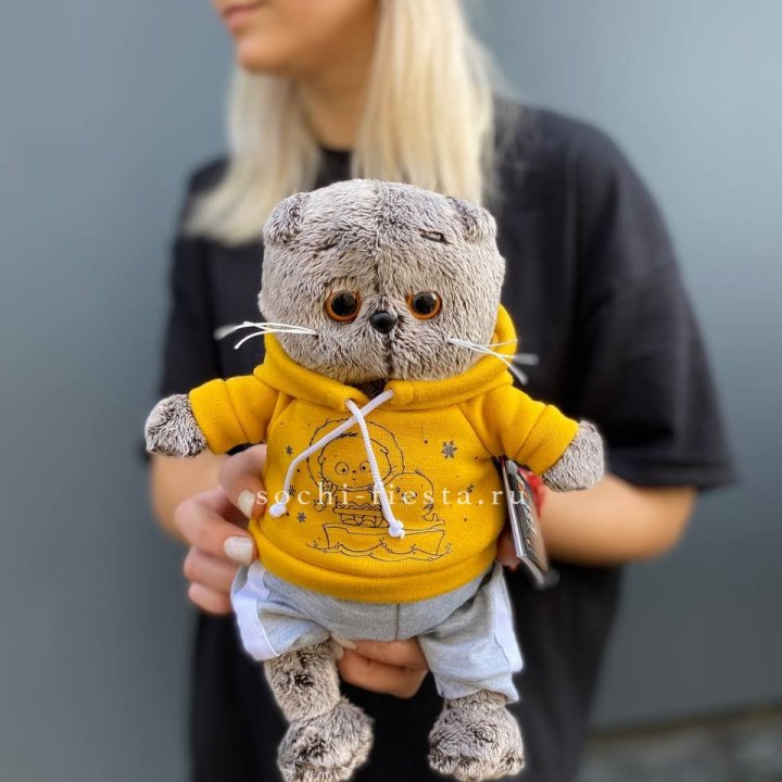 Кот Басик в худи в Ижевске
