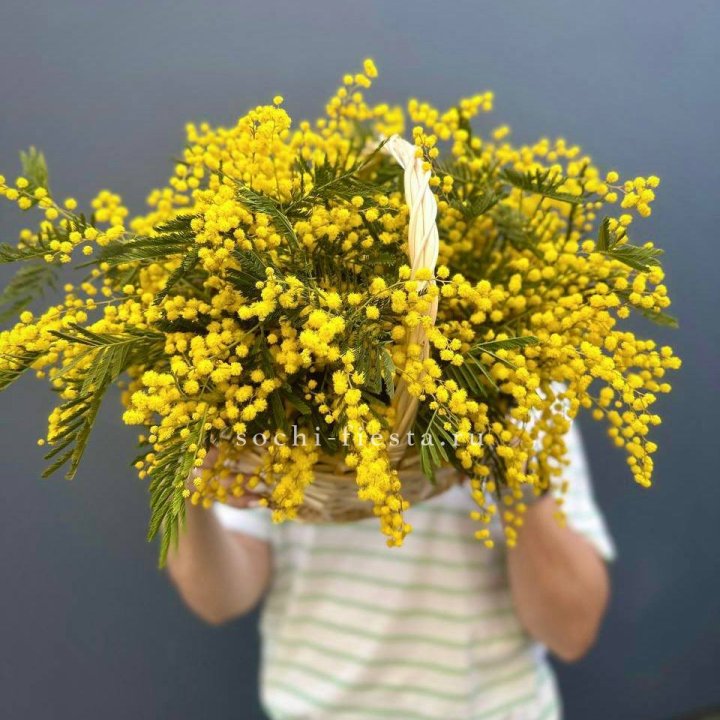 Весенняя корзина мимозы в Ижевске