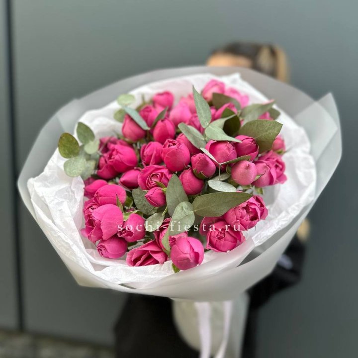 17 Мисти бабблс в Ижевске