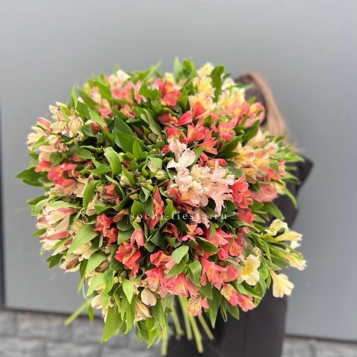 51 альстромерия в Ижевске