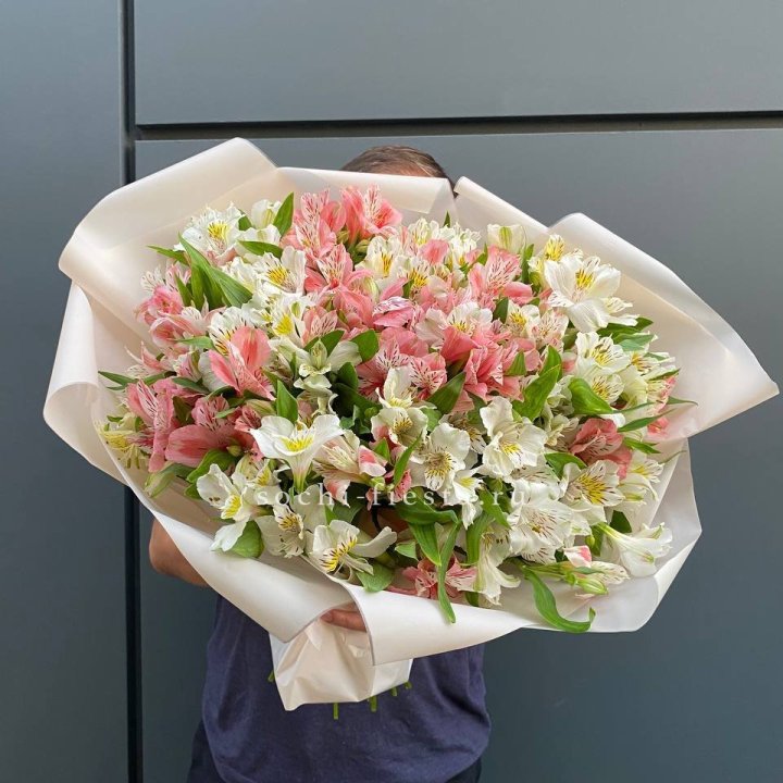 39 альстромерий в Ижевске