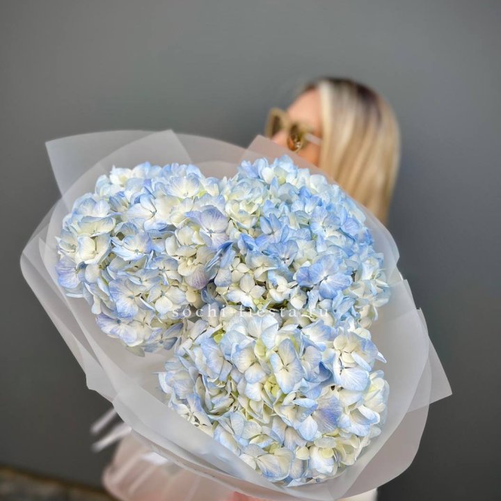 Букет из 3 голубых гортензий  в Ижевске