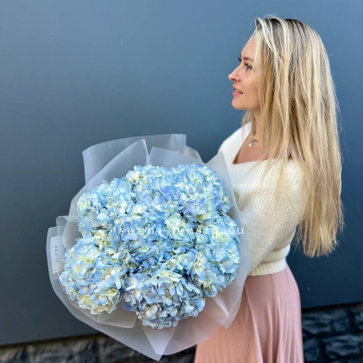 7 голубых гортензий в Ижевске
