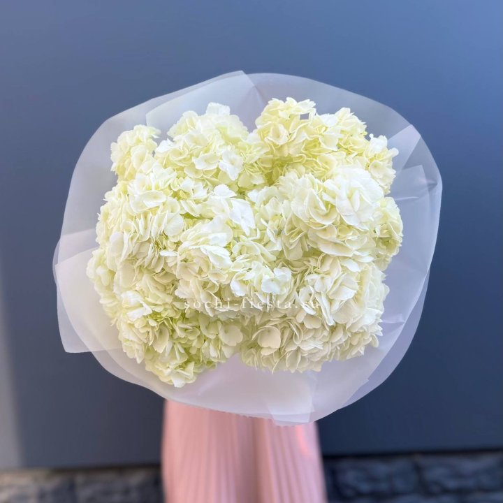 7 белых гортензий в Ижевске