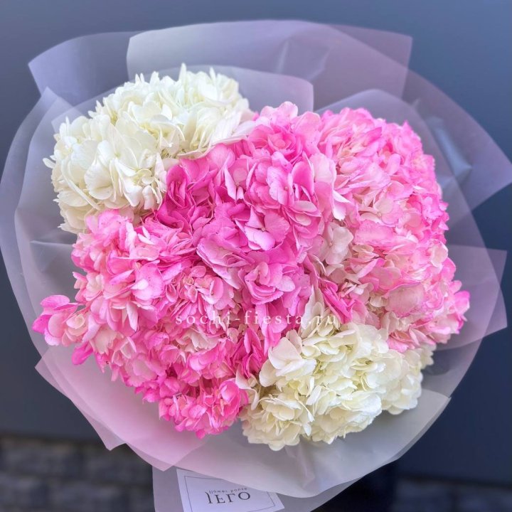 5 бело-розовых гортензий в Ижевске