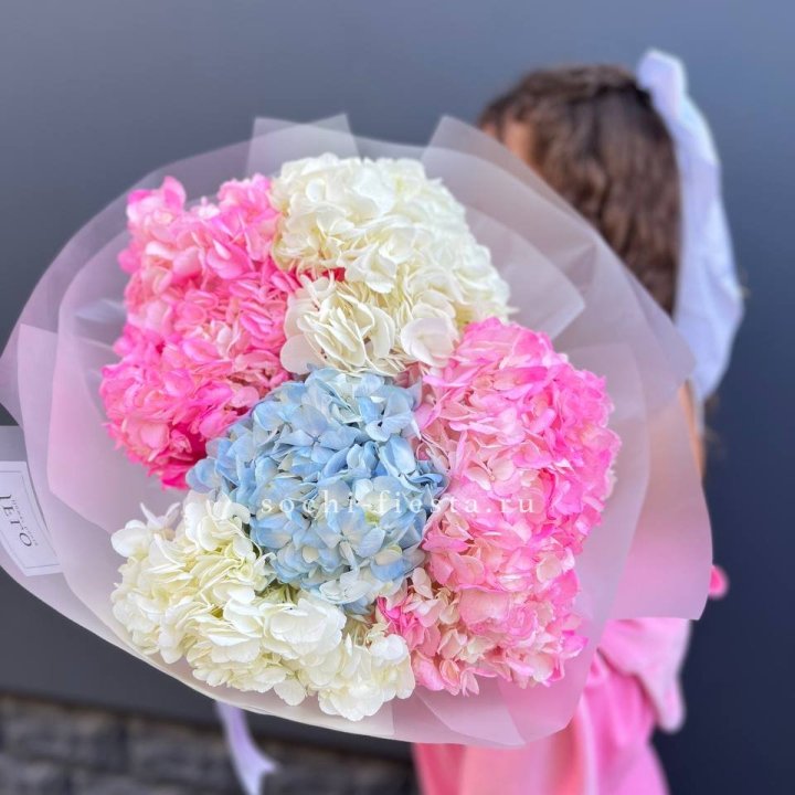 7 гортензий микс в Ижевске