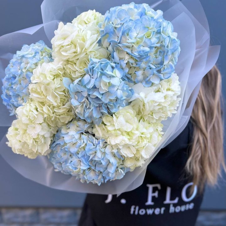 9 бело-голубых гортензий в Ижевске