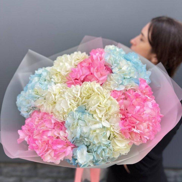 9 гортензий микс в Ижевске