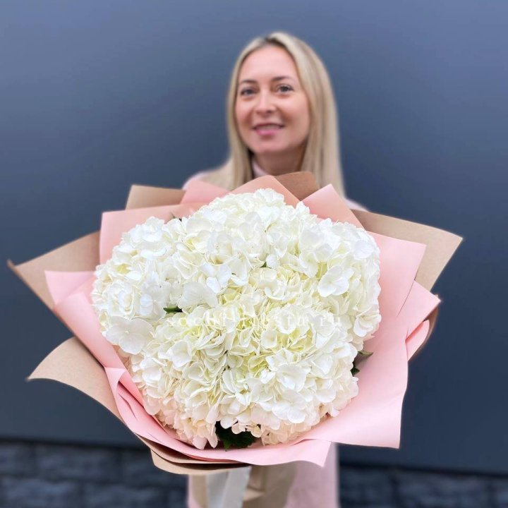 Гортензия белая в Ижевске