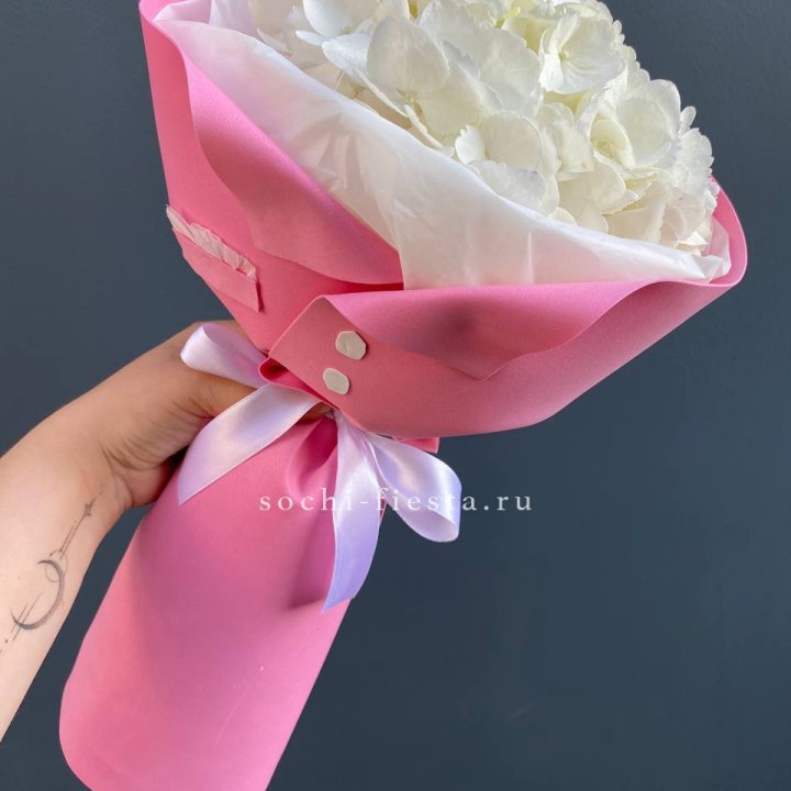 Гортензия в розовом пиджаке в Ижевске