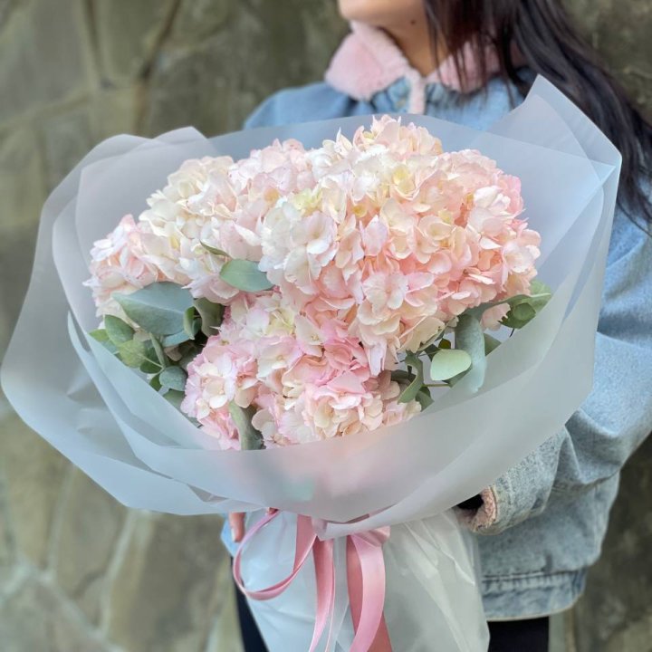 5 розовых гортензий в Ижевске