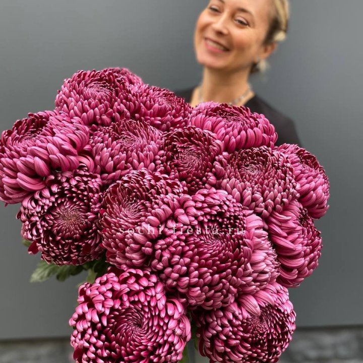 Охапка хризантем Бигуди в Ижевске