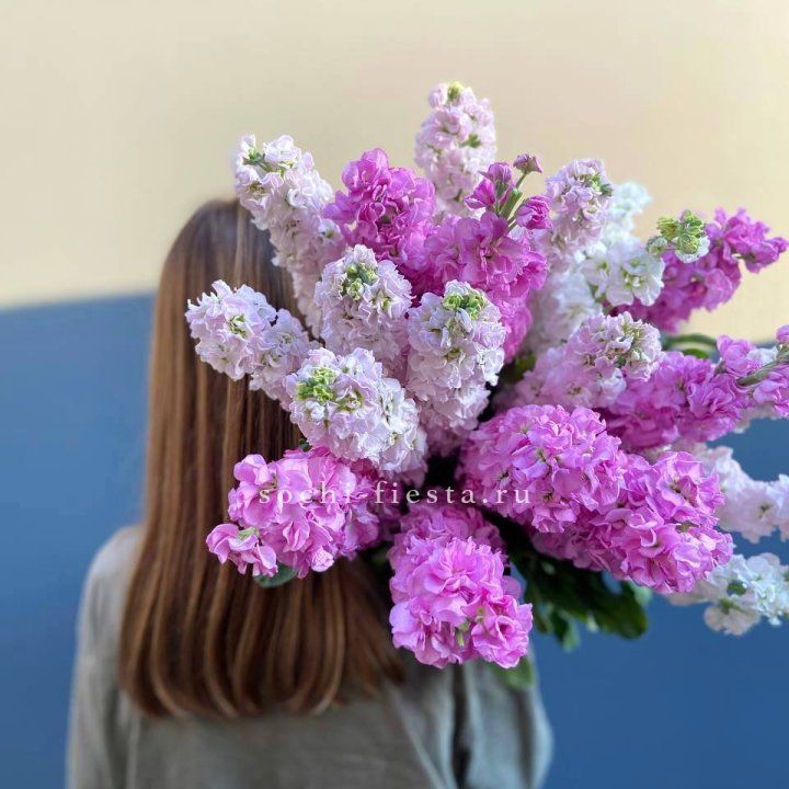 Охапка маттиолы в Ижевске