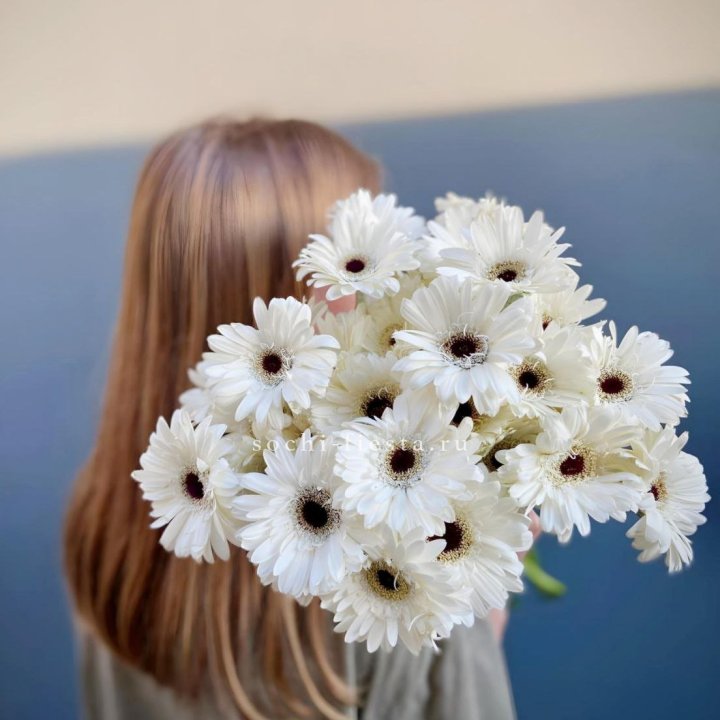 Охапка гербер в Ижевске