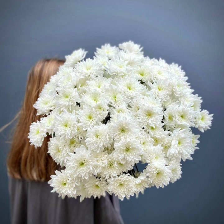 Охапка Хризантемы кустовой в Ижевске